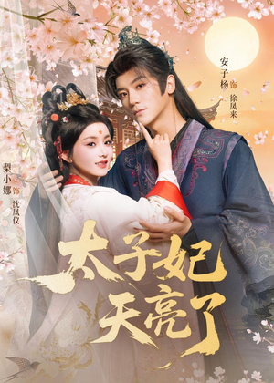 太子妃天亮了（80集）短剧男主角排行榜