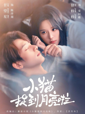 小猫捉到月亮啦（80集）古装热门短剧推荐
