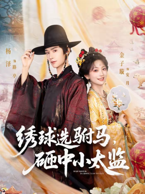 绣球选驸马，砸中小太监（81集）一口气看完热门短剧
