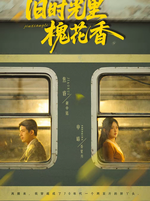 旧时光里槐花香（70集）免费短剧尽享影视魅力