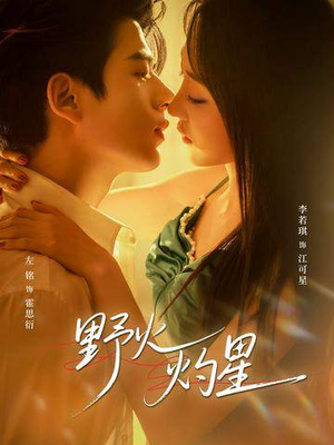 野火灼星（56集）热播短剧追不停