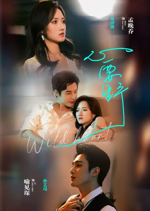 心要野（62集）短剧全集免费在线看