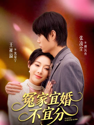 冤家宜婚不宜分（80集）在线观看全集的热门短剧推荐