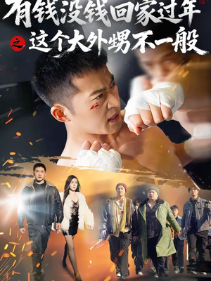 有钱没钱回家过年之这个大外甥不一般（81集）排行榜前十的短剧