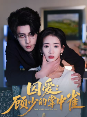 囚爱：顾少的掌中雀（70集）全集短剧免费上线观看