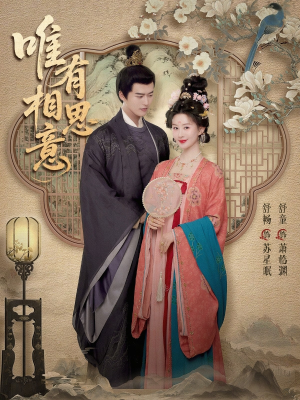 唯有相思意（100集）高分推荐短剧免费看