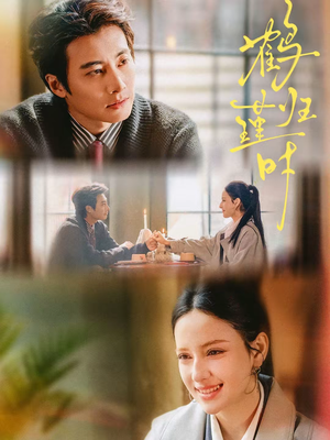 鹤归瑾时（81集）火爆短剧来袭好看又上头的短剧