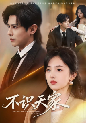 不识天家（69集）短剧全系列永久免费
