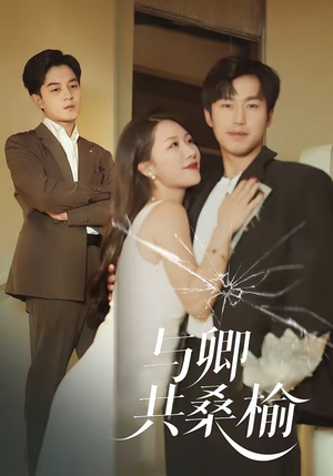 与卿共桑榆（63集）短剧全剧终在线连看