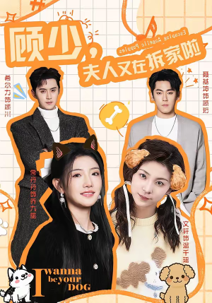 顾少，夫人又在拆家啦（78集）番茄小说短剧免费看