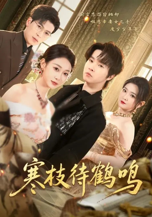 寒枝待鹤鸣（70集）无需付费短剧全集免费看