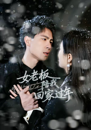 女老板陪我回家过年（40集）在哪个平台能看短剧