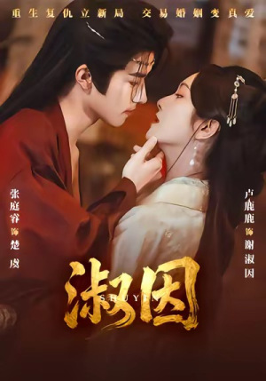 淑因（65集）免费观看全集的短剧网站推荐