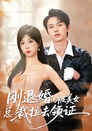 刚退婚，被美女总裁拉去领证（81集）越看越好看短剧