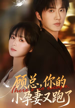 顾总，你的小孕妻又跑了（47集）真的太精彩了短剧分享