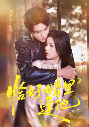 恰好暗里逢他（66集）短剧大结局完整版免费看