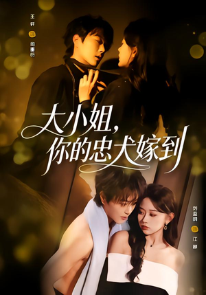 大小姐，你的忠犬嫁到（80集）短剧更新抢先看