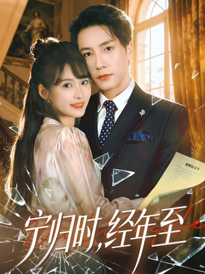 宁归时，经年至（72集）短剧全集投屏大屏看