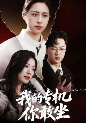 我的专机你敢坐（62集）红果短剧看全集