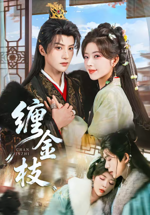 缠金枝（69集）不睡觉也要看完的短剧