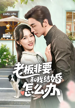 老板非要和我结婚怎么办（50集）短剧合集蓝光画质
