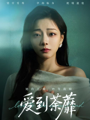 爱到荼蘼（63集）在线观看短剧完整版