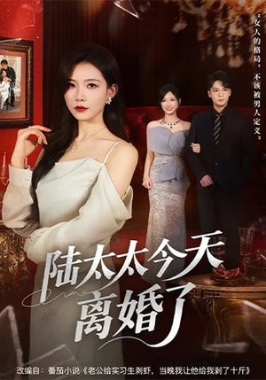 陆太太今天离婚了（59集）热门短剧在线看