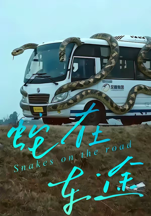 蛇在车途（34集）好看的短剧分享