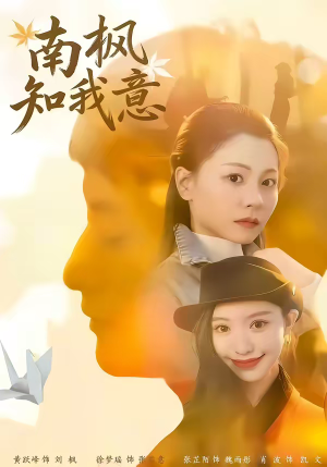 南枫知我意（41集）精彩短剧持续更新中