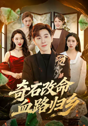 奇石改命血路归乡（81集）一口气看到热门短剧全集