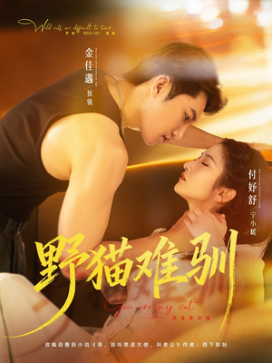 野猫难驯（73集）热门短剧每天更新