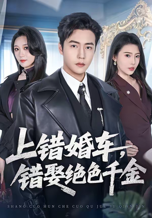 上错婚车，错娶绝色千金（80集）免费观看全集的短剧网站精选