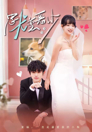 惊！我家来福变恶少了＆忠犬变恶少（80集）最新的短剧太好看了