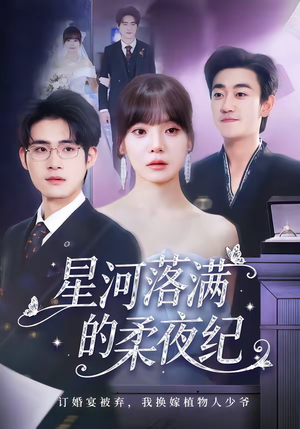 星河落满的柔夜纪（88集）超好看短剧追不停