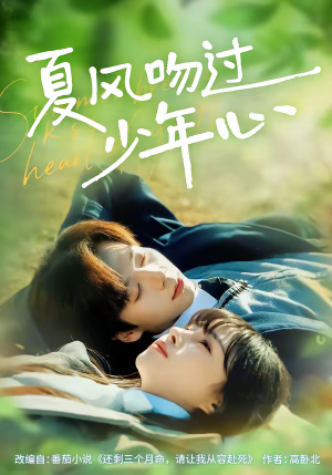 夏风吻过少年心（76集）火爆热播短剧抢先看全集