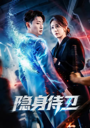 隐身侍卫（80集）好看到停不下的短剧