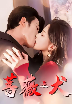 蔷薇之犬（60集）火爆热播短剧抢先看全集