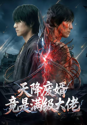 天降废婿竟是满级大佬（58集）热门短剧全集观看
