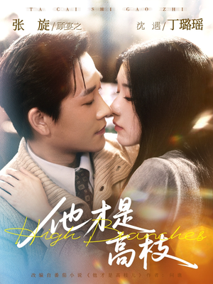 他才是高枝（77集）短剧越看越精彩