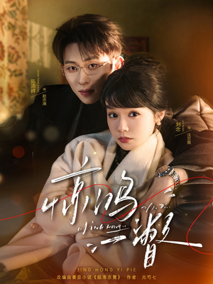 惊鸿一瞥（72集）超好看短剧抢先看全集