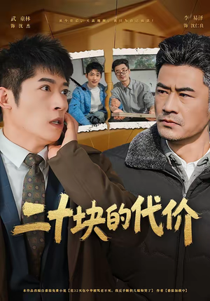 二十块的代价（64集）精彩短剧持续更新