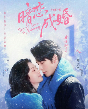 暗恋成婚（60集）全集免费观看西瓜短剧