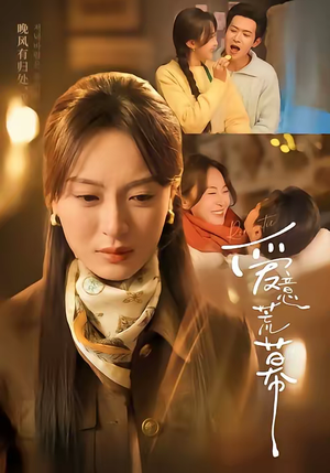 爱意荒幕（70集）万里归乡短剧精彩剧情