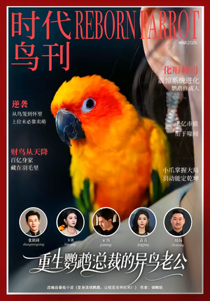 重生鹦鹉：总裁的异鸟老公（80集）短剧太好看了精彩推荐