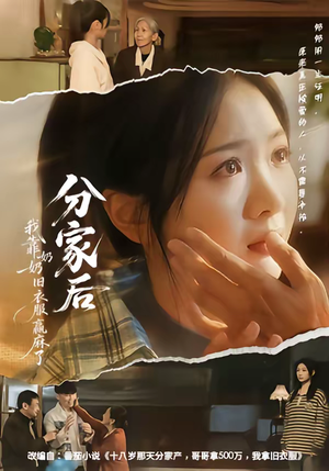 分家后我靠奶奶旧衣服赢麻了（59集）红果免费短剧看全集