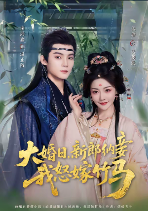 大婚日，新郎纳妾我怒嫁竹马（80集）一毛不花追完短剧