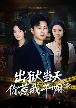 出狱当天，你惹我干嘛？（62集）全集免费观看的短剧资源
