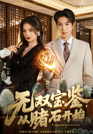 无双宝鉴，从赌石开始（70集）热门短剧一网打尽