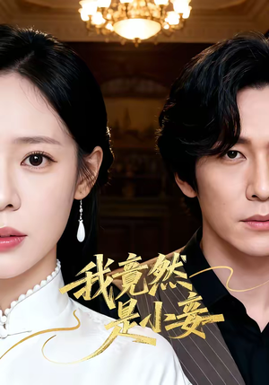 我竟然是小妾（47集）热门短剧推荐网站