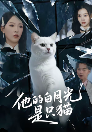 他的白月光是只猫（69集）全网最火催泪短剧